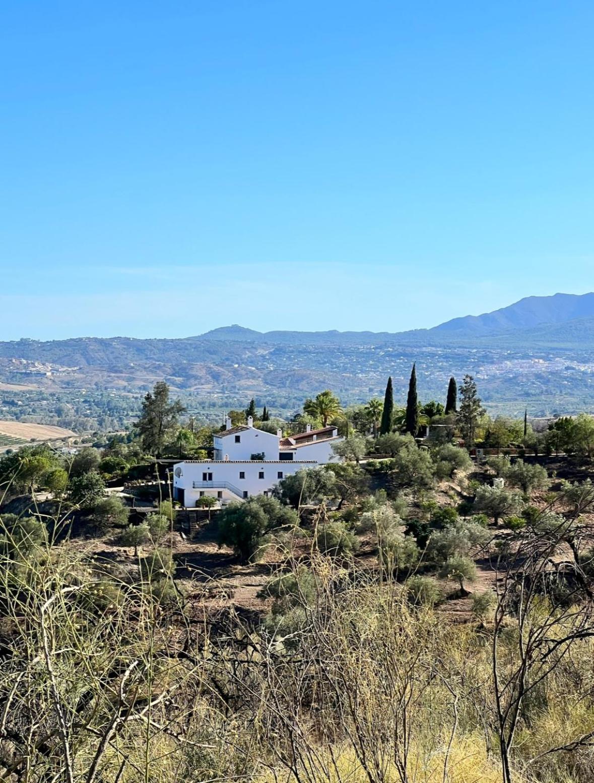 Santa Teresa Bed & Breakfast Andalusien ピサラ エクステリア 写真