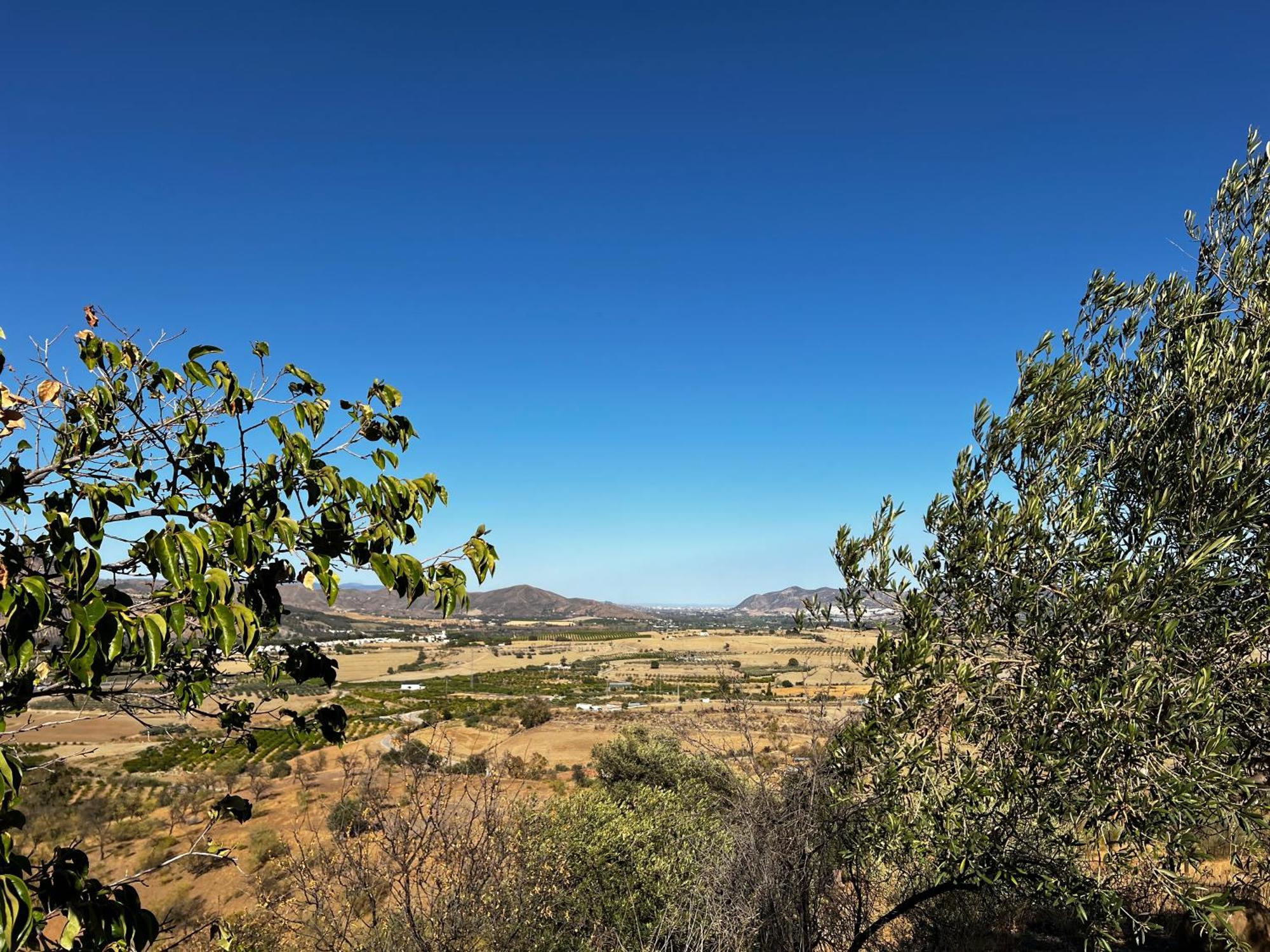 Santa Teresa Bed & Breakfast Andalusien ピサラ エクステリア 写真