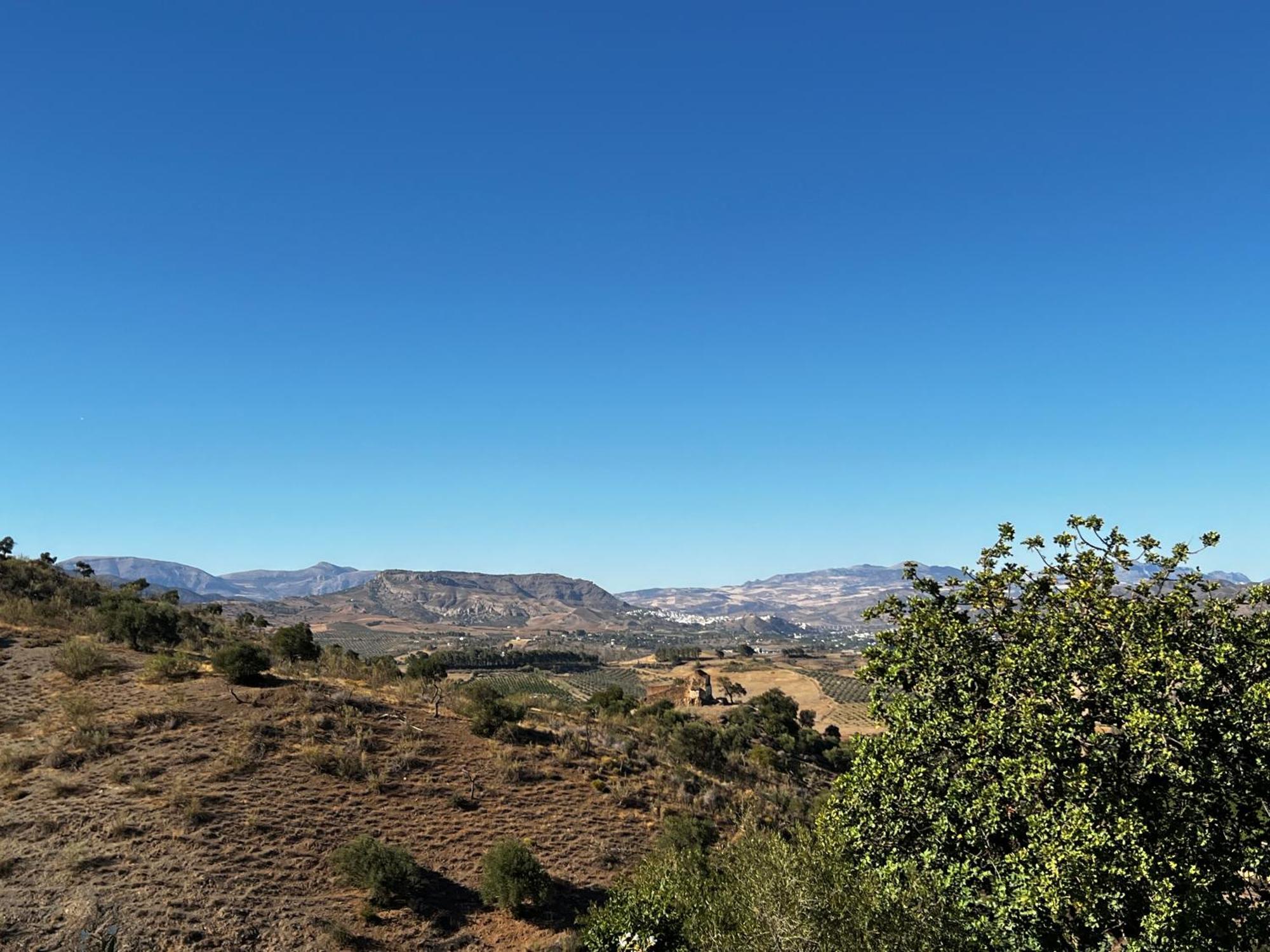 Santa Teresa Bed & Breakfast Andalusien ピサラ エクステリア 写真