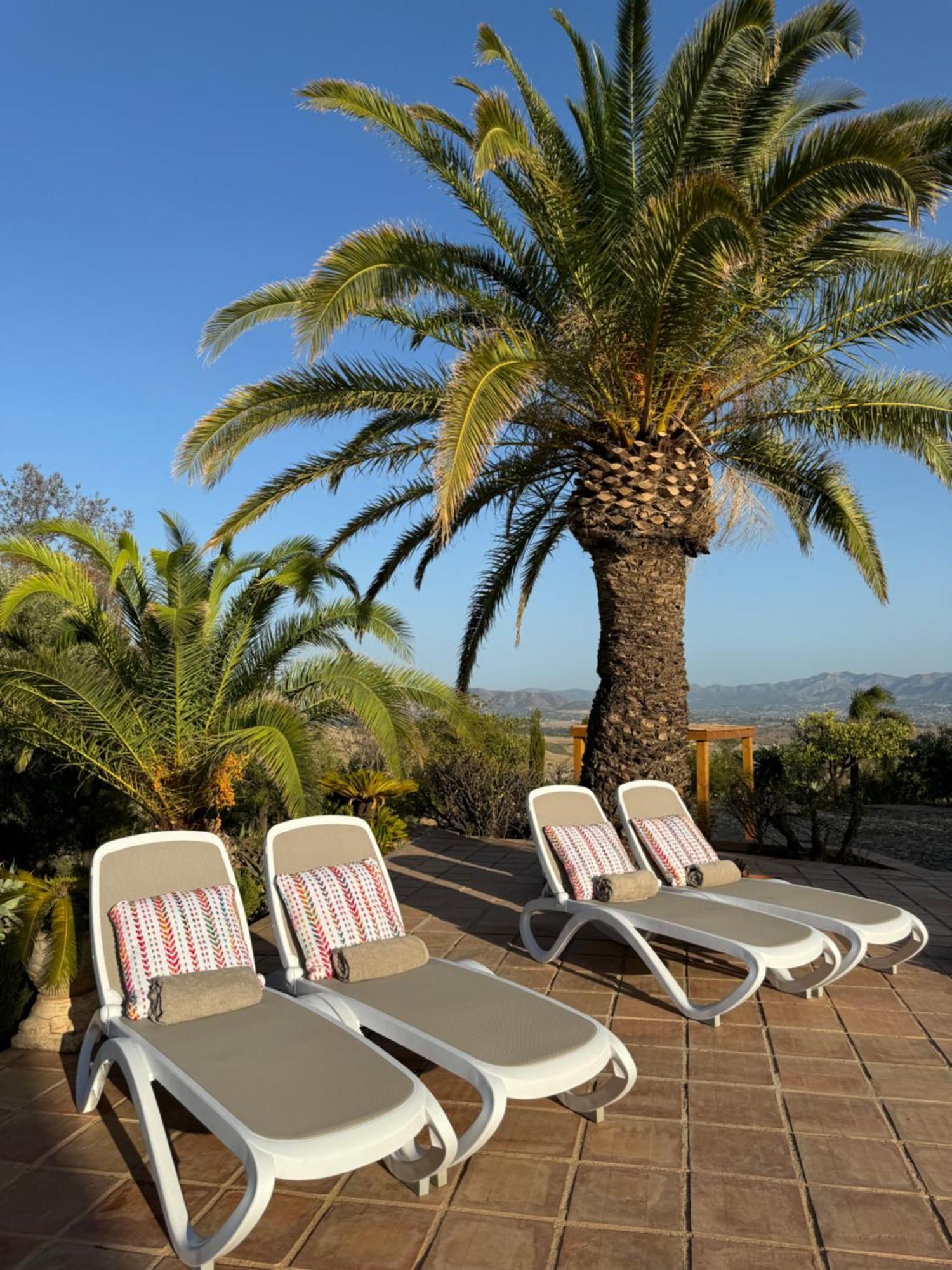 Santa Teresa Bed & Breakfast Andalusien ピサラ エクステリア 写真