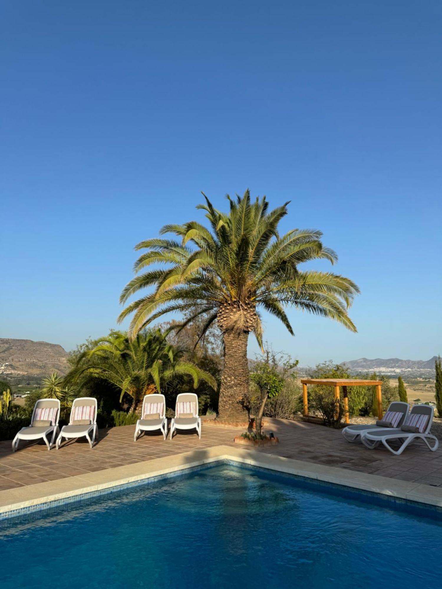 Santa Teresa Bed & Breakfast Andalusien ピサラ エクステリア 写真